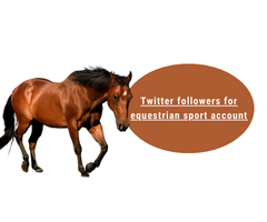 Buy Instant and cheap Twitter followers for profile about equestrian sport